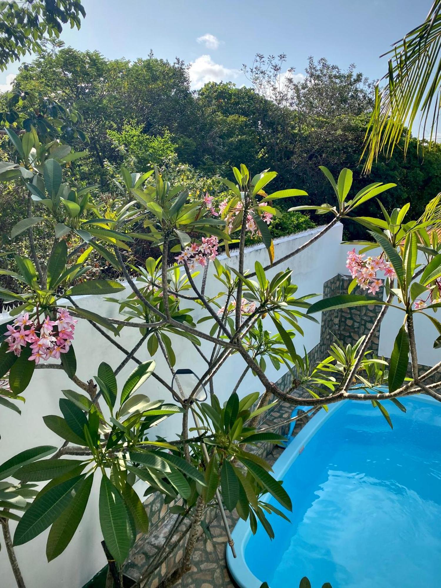 Holiday home Espacoso 4qd, Privado Casa Com Piscina, Beach, Pipa *