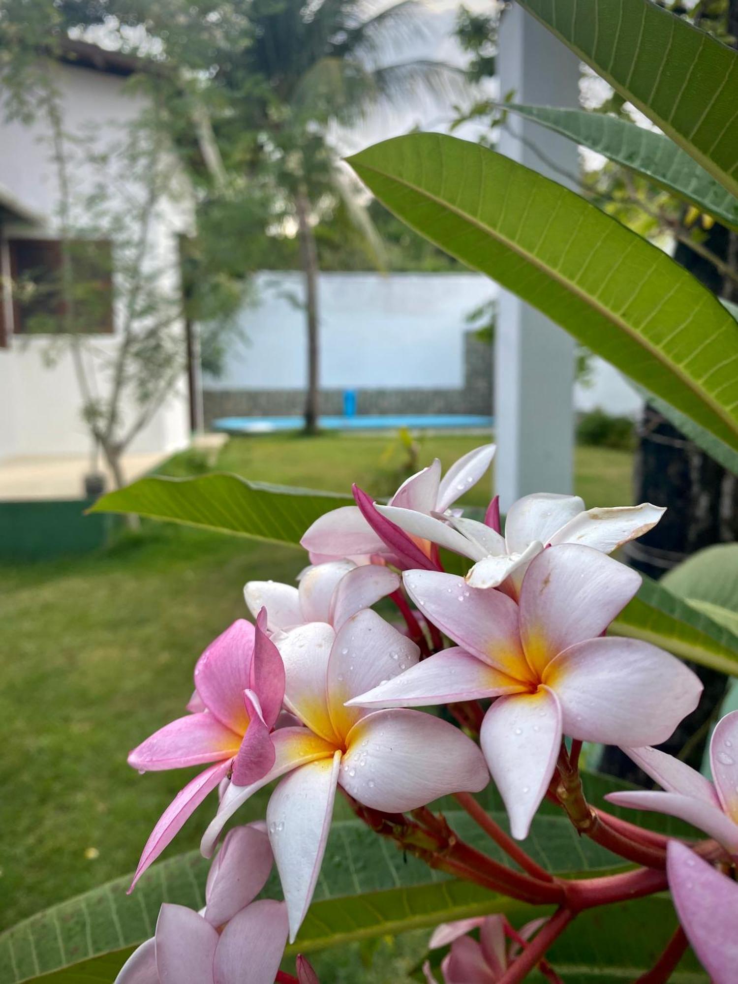 Espacoso 4qd, Privado Casa Com Piscina, Beach, Pipa Holiday home *